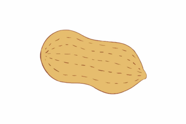 花生简笔画步骤