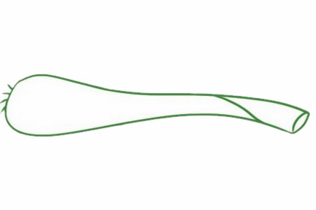 一根大葱儿童简笔画(一根葱画的头像)