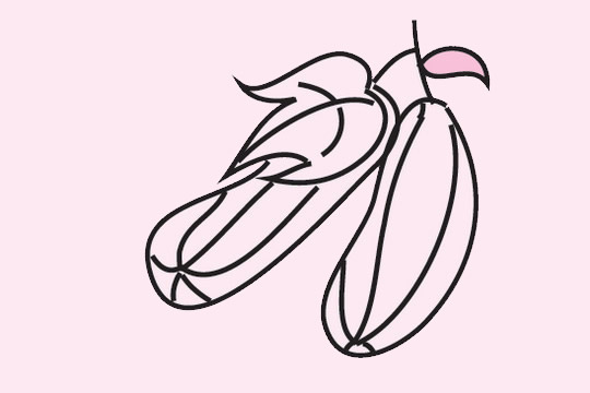 三张关于丝瓜的简笔画