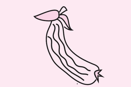 一看就会的丝瓜简笔画(丝瓜简体画)