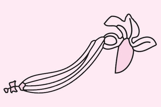 带花的丝瓜简笔画(丝瓜简爱画)