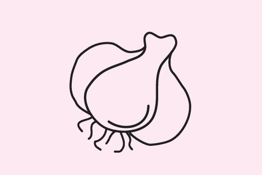 分享三种大蒜的简笔画(分享三种大蒜的简介怎么写)