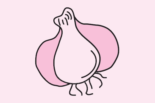 分享三种大蒜的简笔画