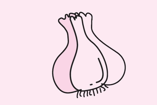 分享三种大蒜的简笔画
