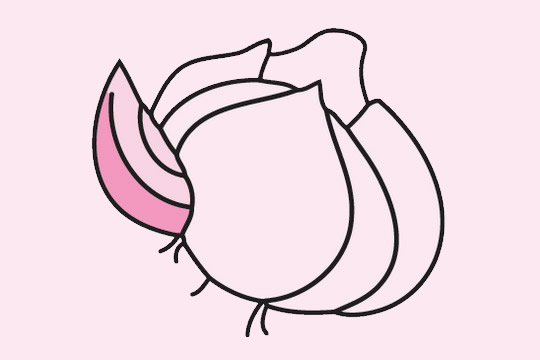 掰开的大蒜简笔画(剥开的大蒜怎么画)