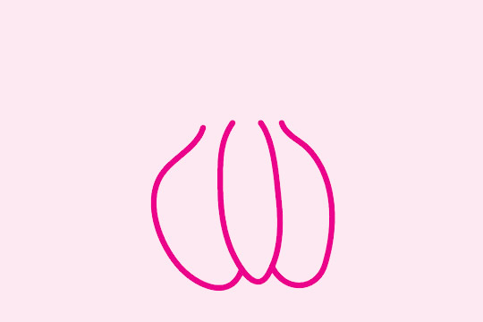 三步画出大蒜头(大蒜头怎么画才好看)