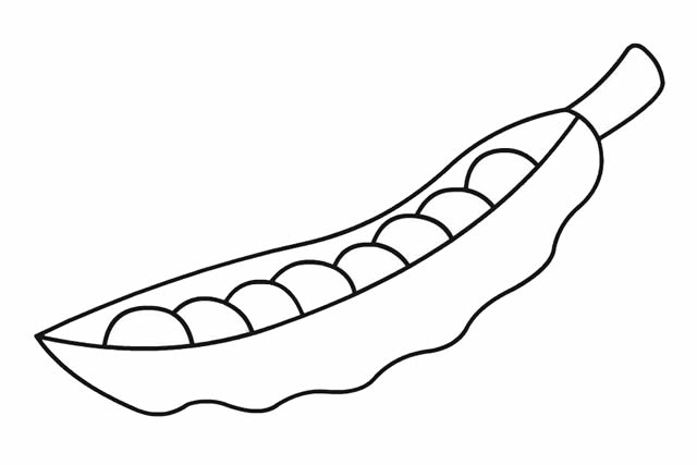 漂亮的豌豆简笔画步骤