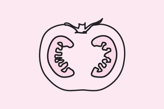 关于番茄的简笔画大全(关于番茄的简笔画怎么画)