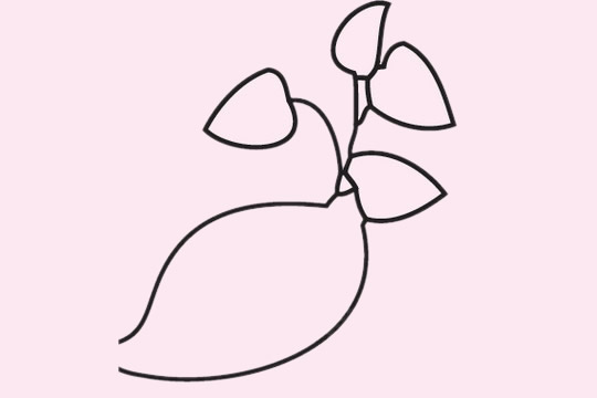 分享三张红薯简笔画