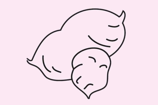 分享三张红薯简笔画