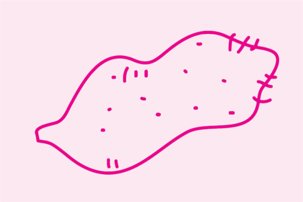 红薯简笔画步骤