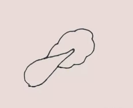 两颗油菜简笔画步骤