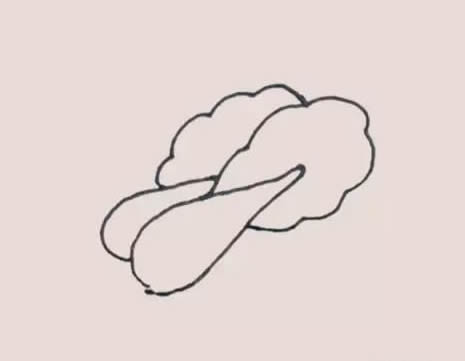 两颗油菜简笔画步骤