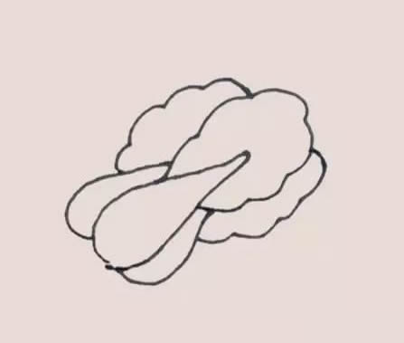 两颗油菜简笔画步骤