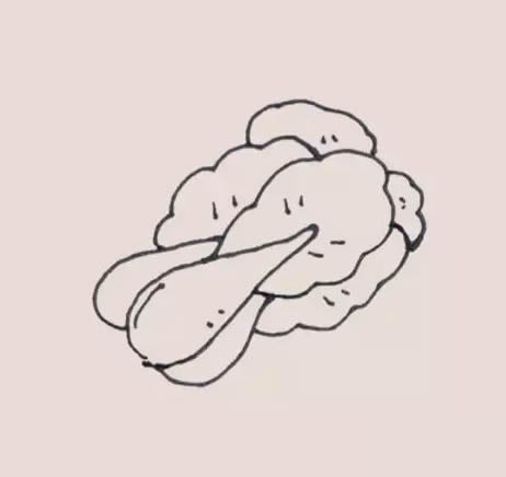 两颗油菜简笔画步骤