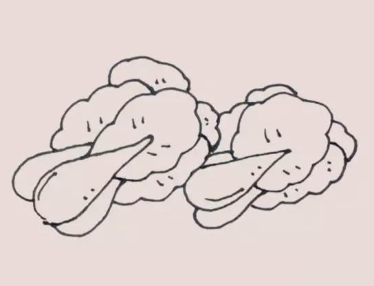 两颗油菜简笔画步骤