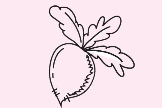 白萝卜简笔画图片大全