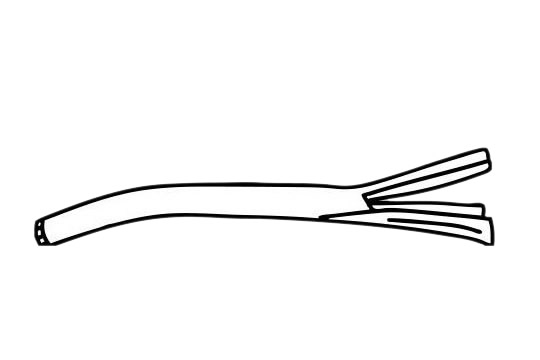 三张大葱简笔画