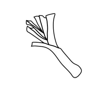 大葱简笔画简单画法