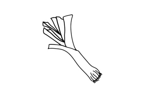 大葱简笔画简单画法