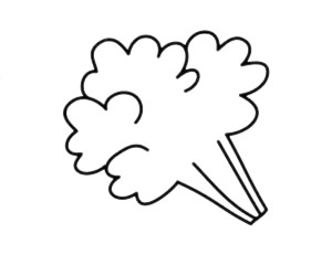 香菜简笔画详细步骤