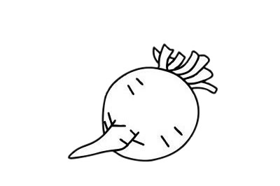 甜菜简笔画图片大全