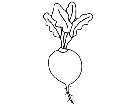 甜菜简笔画图片大全