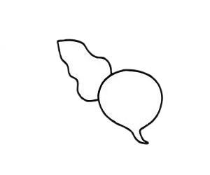 甜菜简笔画步骤