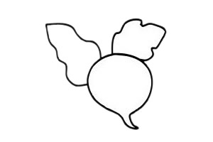 甜菜简笔画步骤