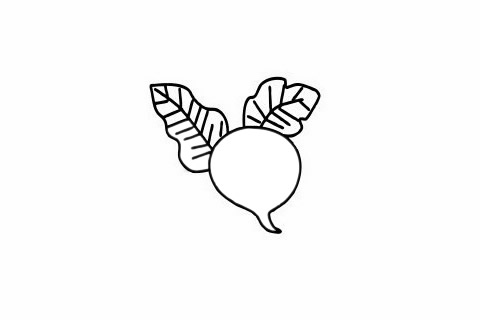 甜菜简笔画步骤