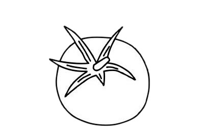 番茄简笔画图片大全