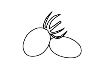 番茄简笔画图片大全