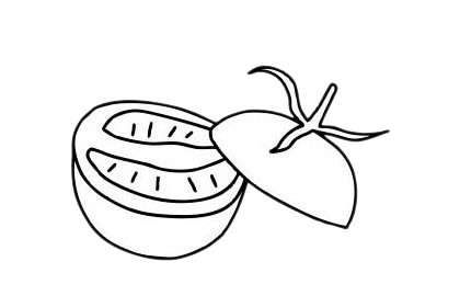 番茄简笔画图片大全