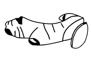 一组生姜简笔画图片大全