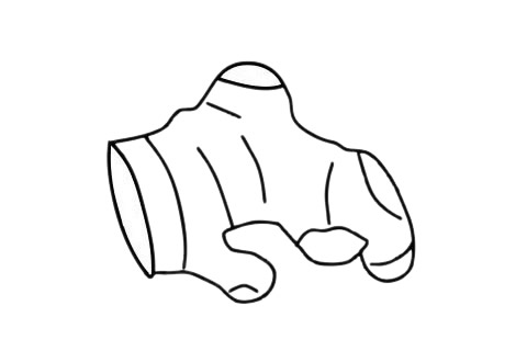 一组生姜简笔画图片大全