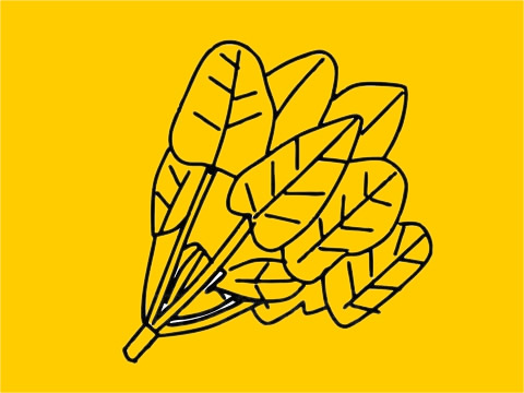 菠菜简笔画图片大全