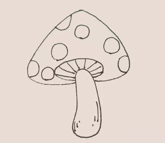 彩色漂亮的蘑菇简笔画