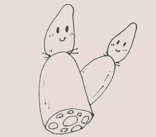 可爱的莲藕简笔画