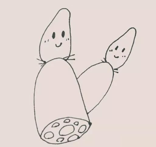 可爱的莲藕简笔画