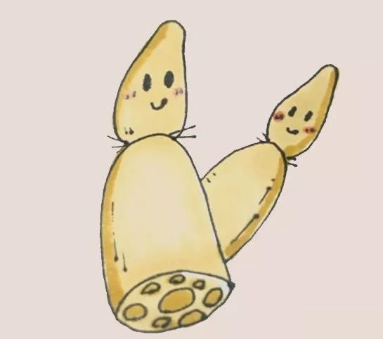 可爱的莲藕简笔画