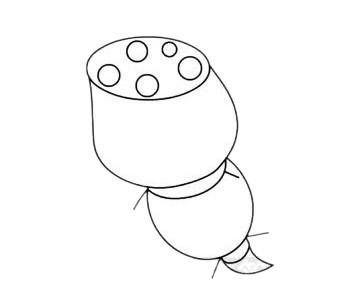 可爱的莲藕简笔画