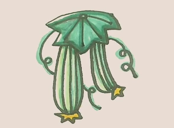 丝瓜简笔画的画法