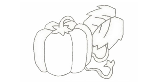 南瓜简笔画的画法