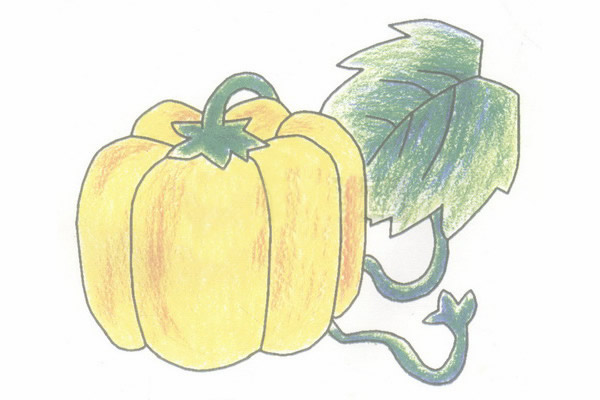 南瓜简笔画的画法