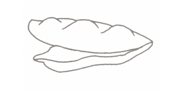 豆角简笔画的画法