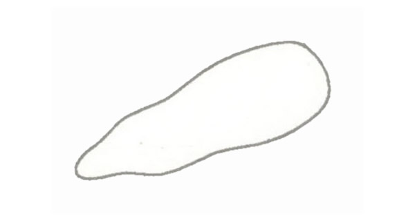 胡萝卜简笔画的画法(胡萝卜简笔画简单又漂亮)