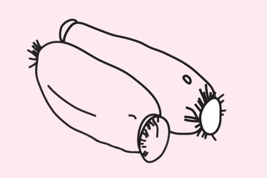 四张莲藕简笔画