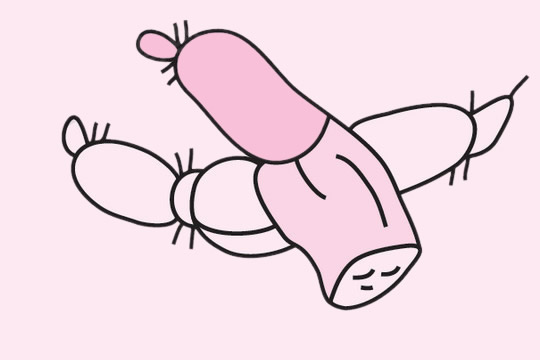 四张莲藕简笔画