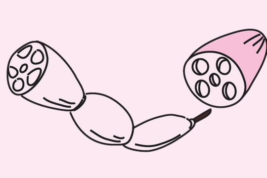 四张莲藕简笔画