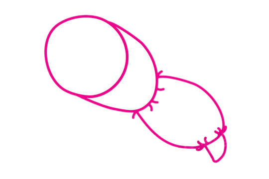 莲藕简笔画的画法